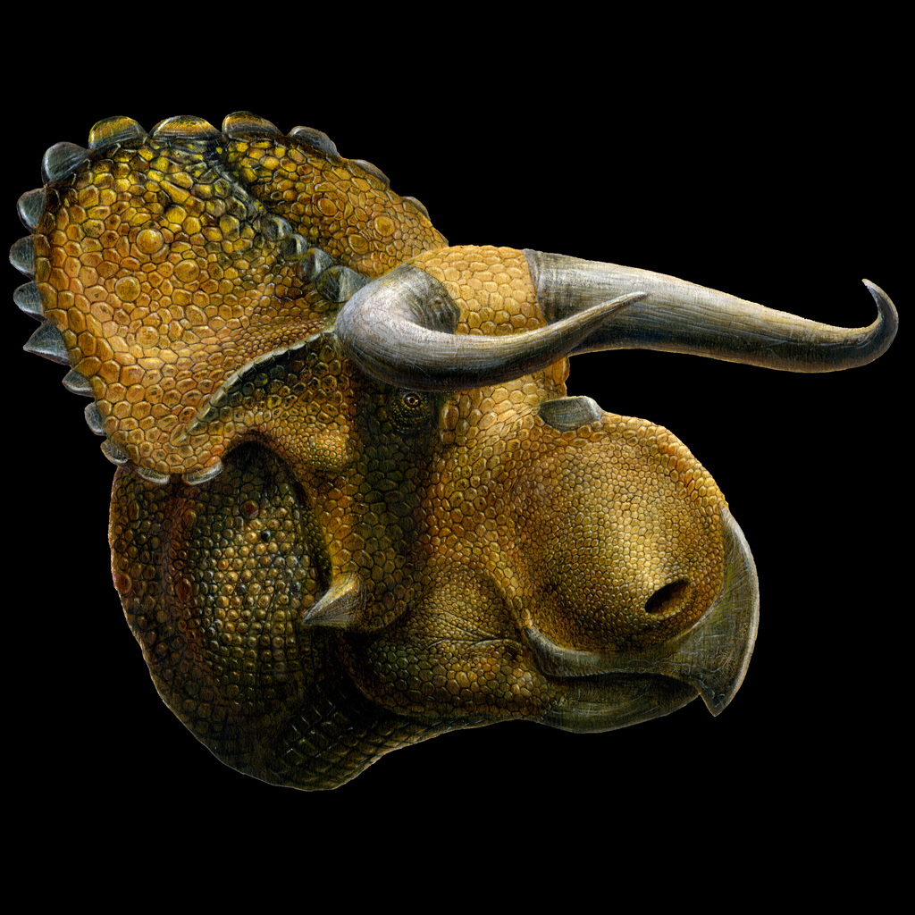 Ανακαλύφθηκε νέο είδος δεινοσαύρου
