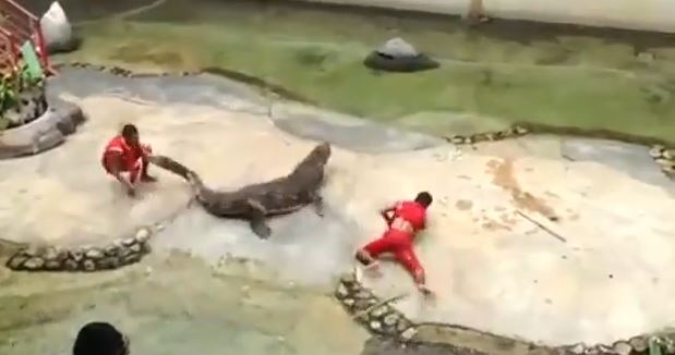 ΒΙΝΤΕΟ-Γλίτωσε από τα σαγόνια του κροκόδειλου