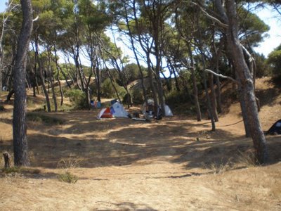 Ακριβό πλέον το… ελεύθερο κάμπινγκ!