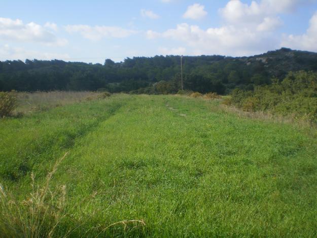 Φωτιά στη Λάρισα