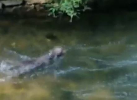 BINTEO – Αυτό σημαίνει επιμονή