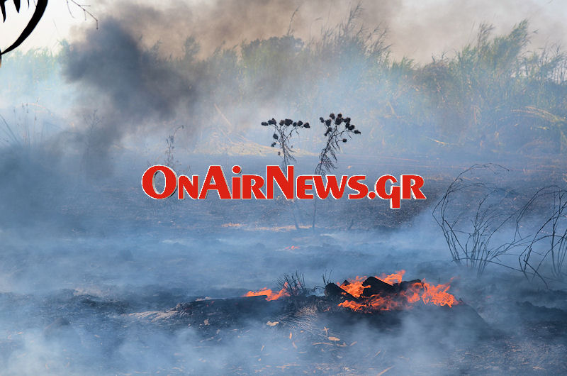 ΒΙΝΤΕΟ- Φωτιά στην Μαγούλα