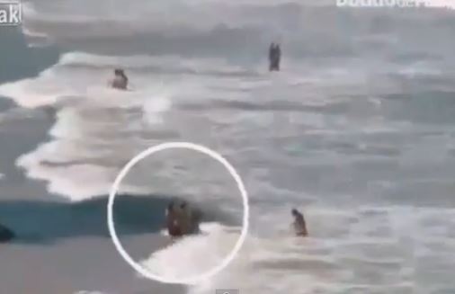 Φονικός καρχαρίας σε θέρετρο της Βραζιλίας