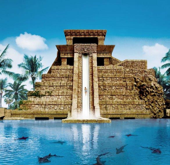 ΦΩΤΟ-Βουτιές ανάμεσα σε καρχαρίες