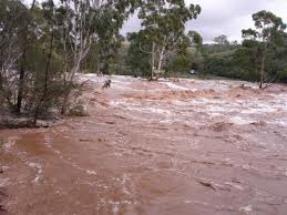 Ιαπωνία-5 νεκροί από πλημμύρες