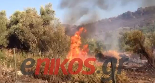 ΒΙΝΤΕΟ-Σε πύρινο κλοιό το Μαρκόπουλο