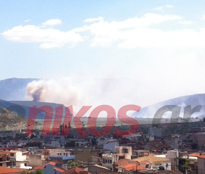 ΦΩΤΟ-Η φωτιά στη Φωκίδα