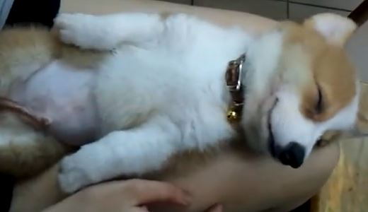 ΒΙΝΤΕΟ-Δεν θέλω να ξυπνήσω!