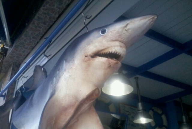 Στα σαγόνια του καρχαρία…