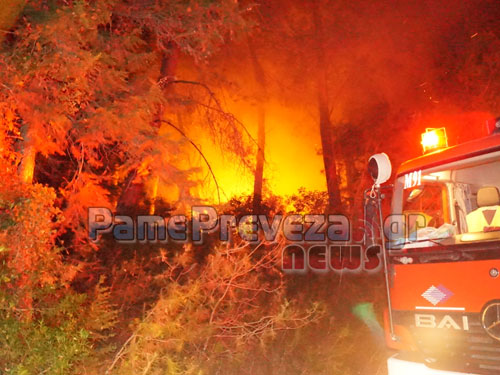 4η πυρκαγιά φέτος στο Μονολίθι