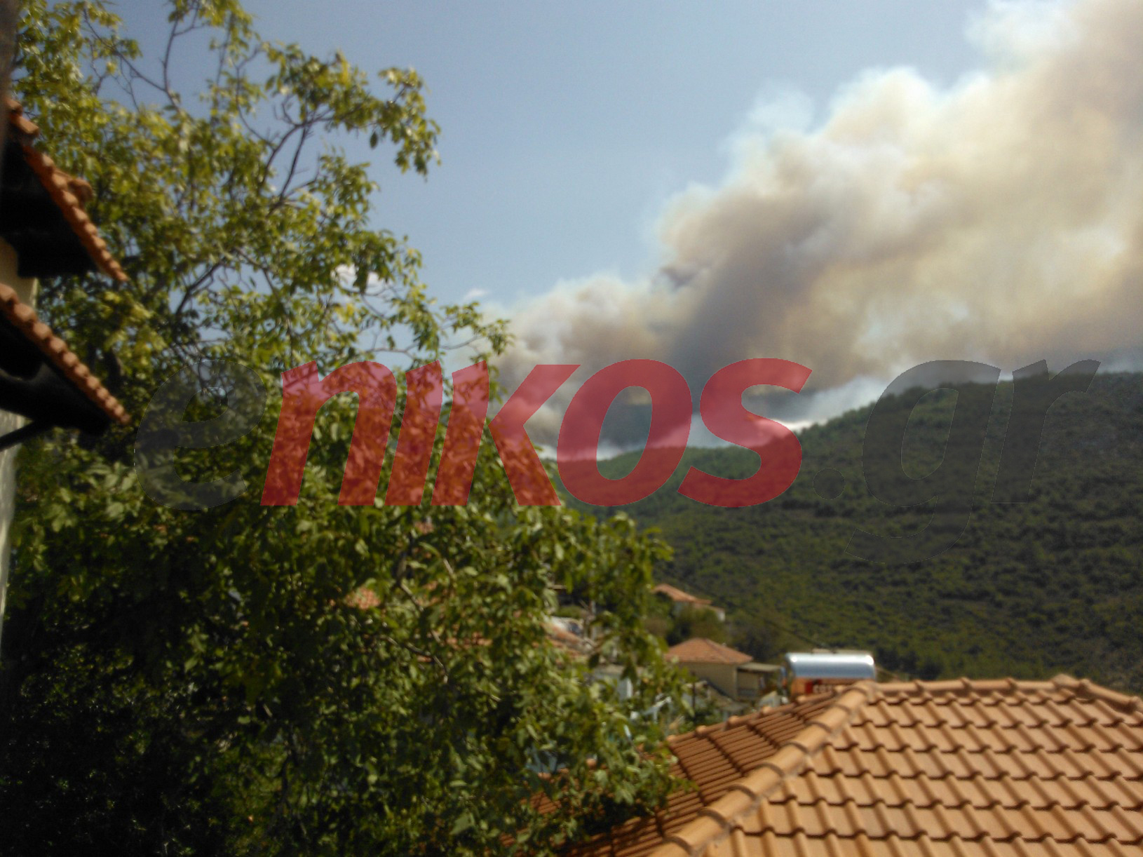 Δήμαρχος Θάσου: Kάηκαν 5.000 στρέμματα δάσους