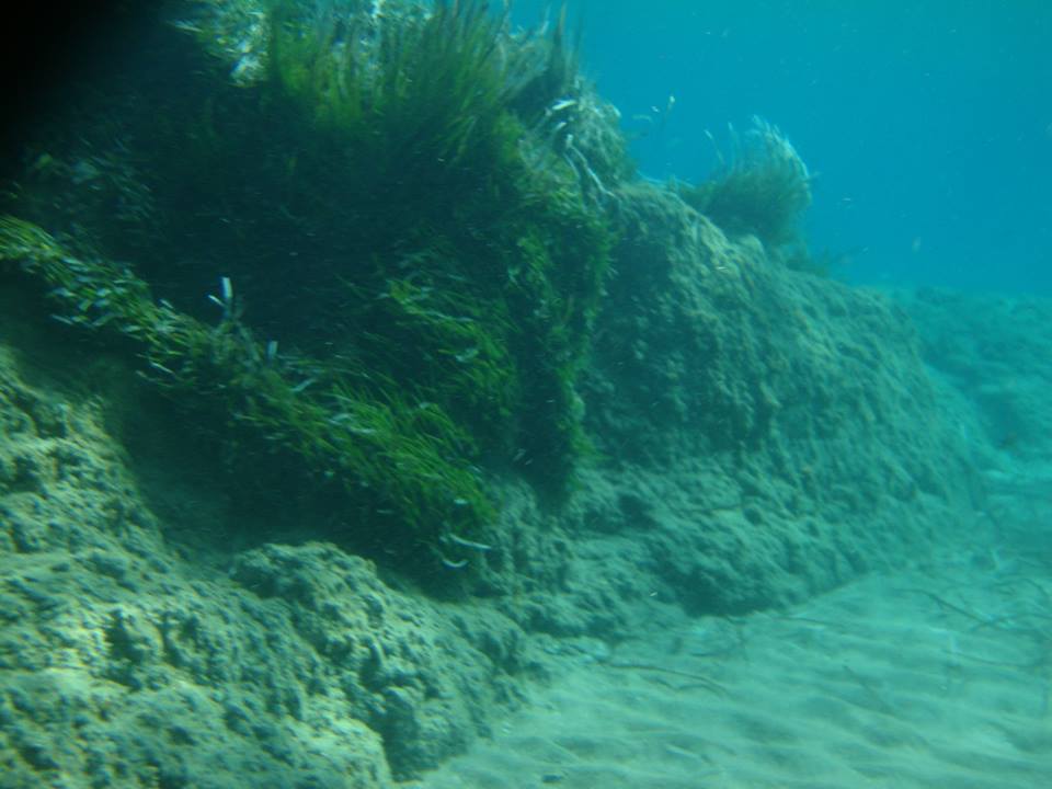 ΦΩΤΟ-Οι αναγνώστες μας στην Σύρο