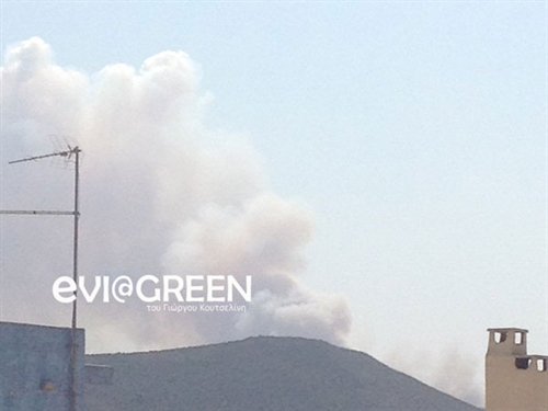 ΦΩΤΟ-Φωτιά στη Ριτσώνα