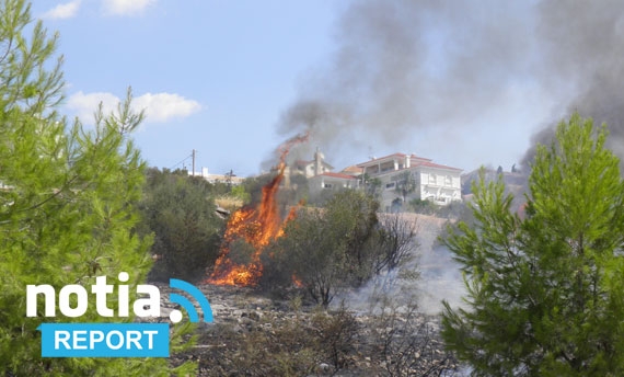 ΒΙΝΤΕΟ-Η φωτιά στη Βούλα