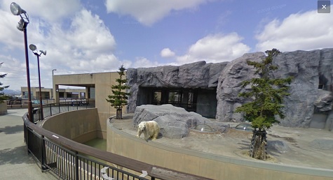 Βόλτα σε ζωολογικά πάρκα με το Google Street View