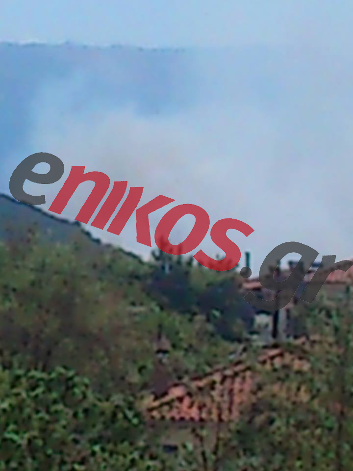 Μεγάλη φωτιά στη Φωκίδα