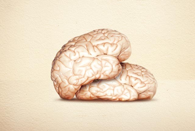 Tα μυστικά του «εγκεφαλικού» έρωτα