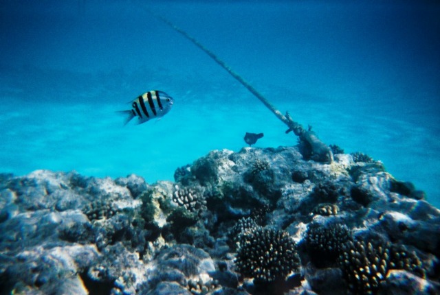 Απευθείας μετάδοση από τον βυθό
