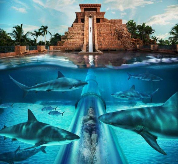 ΦΩΤΟ-Η πιο τρομακτική νεροτσουλήθρα