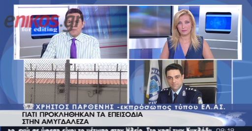 Παρθένης: Εκτός χώρας οι παράνομοι μετανάστες