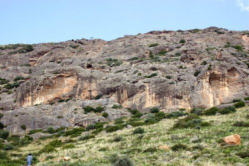 Βοτανικό πάρκο-μαμούθ στην Κρήτη