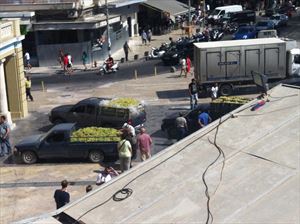 Κομφούζιο στην Περιφέρεια Κρήτης από παραγωγούς