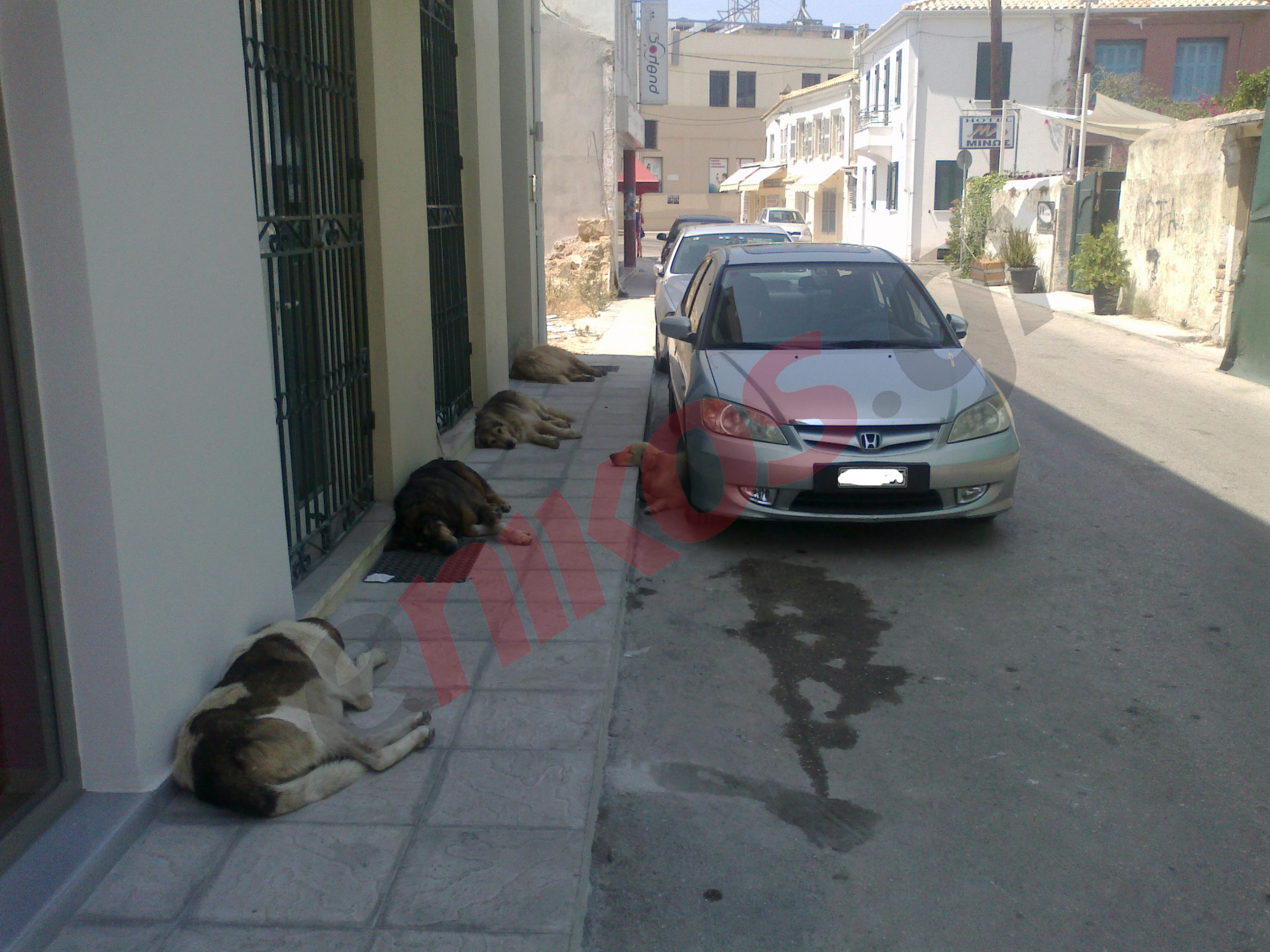 Αργία για… όλους στην Πρέβεζα