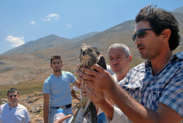 Απελευθέρωση άγριων πτηνών στην Κρήτη