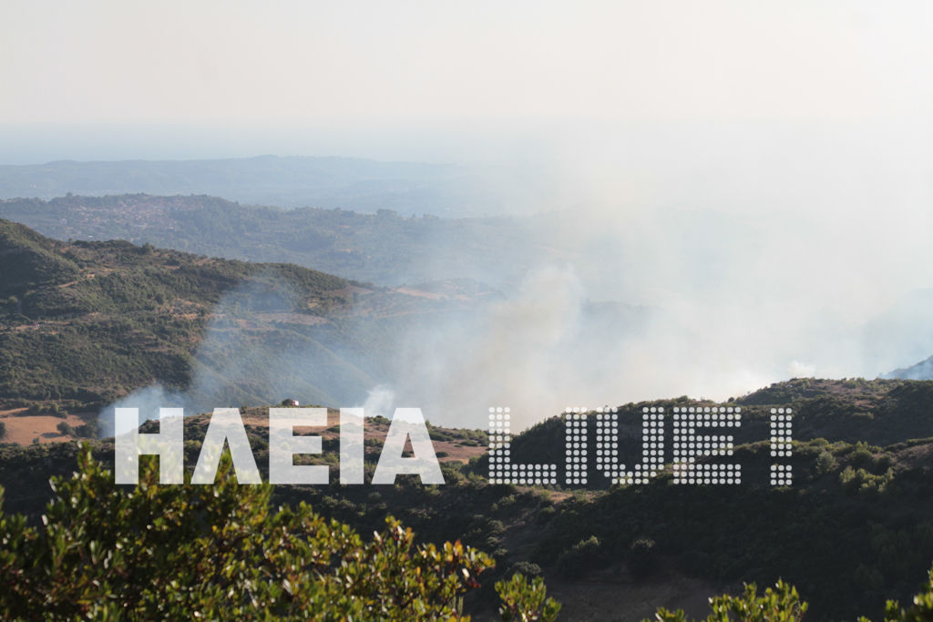 Στάχτη πάνω από 200 στρέμματα