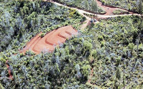 Οι απέραντες πεδιάδες με το χασίς