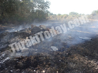 Υπό έλεγχο η πυρκαγιά στη Γκιώνα