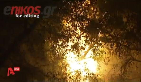 BINTEO-Nύχτα τρόμου στην Βαρυμπόμπη