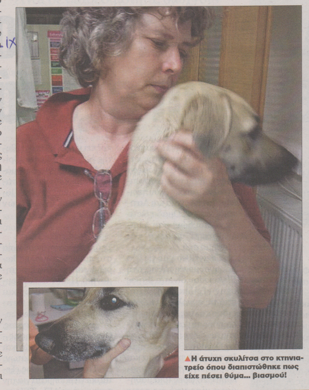 Βίασαν σκυλίτσα