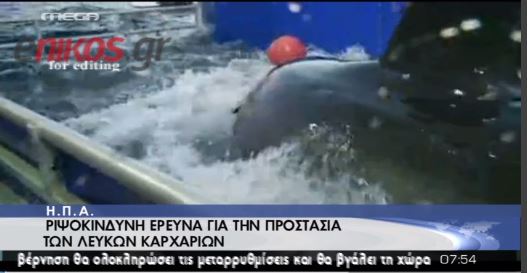 Έρευνα για την προστασία των καρχαριών