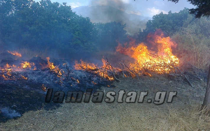 ΒΙΝΤΕΟ-Η φωτιά στην Φωκίδα