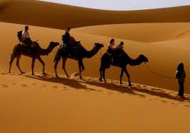«Ύποπτες» οι καμήλες…