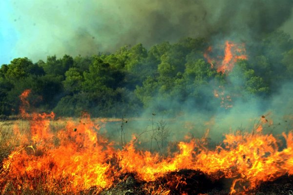 Πολύ υψηλός κίνδυνος πυρκαγιάς αύριο