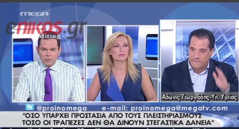 Άδωνις για πλειστηριασμούς: Θα προστατέψουμε τους φτωχούς