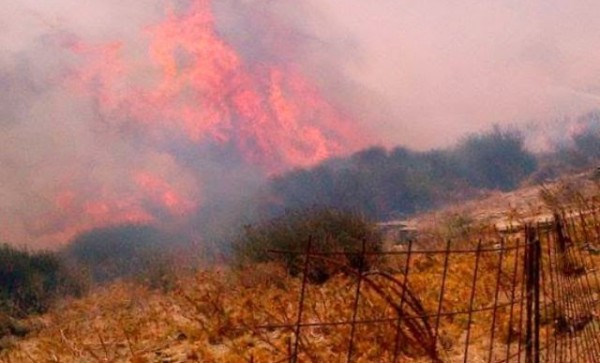 ΒΙΝΤΕΟ-Μάχη με τις φλόγες δίνουν στην Άνδρο