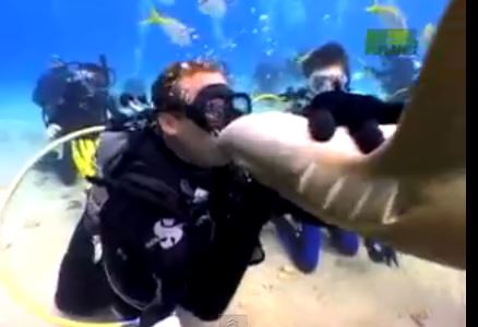 Μη φιλήσετε ποτέ… καρχαρία στο στόμα