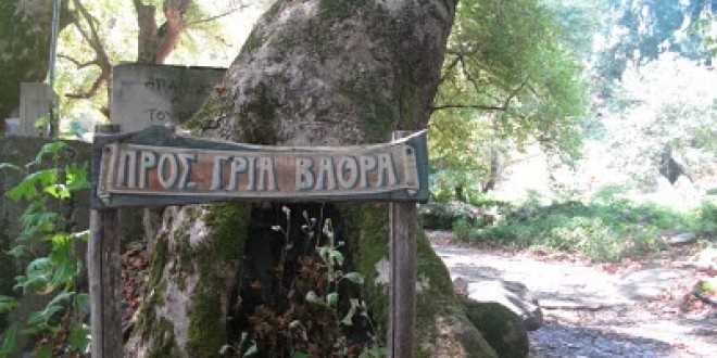 Έπεσε σε γκρεμό της Σαμοθράκης