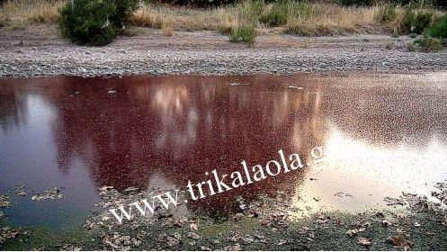 ΒΙΝΤΕΟ: Απόβλητα μολύνουν τον Πηνειό