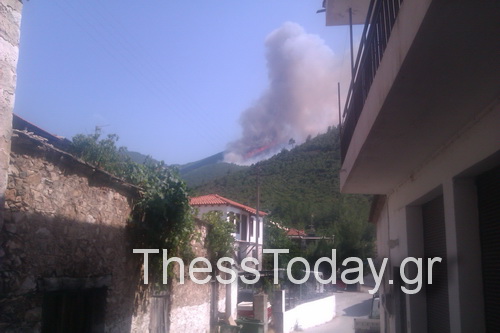 Σε ύφεση η πυρκαγιά στη Θάσο