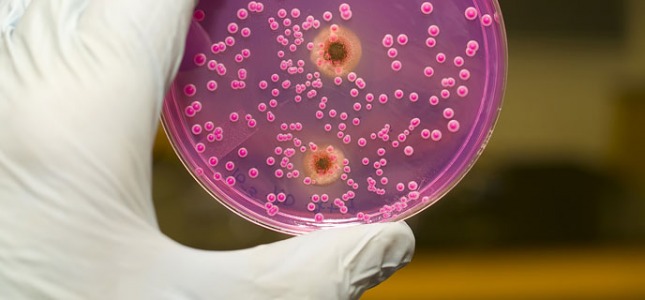 Καλοήθεις παθήσεις του κόλπου