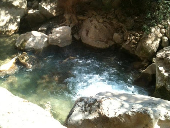 Η φωτογραφία της ημέρας