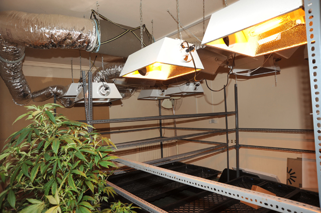 Εντόπισαν εργαστήριο υδροπονίας