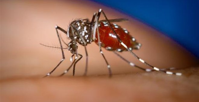 Δέκα τα κρούσματα του ιού του Δυτικού Νείλου στην Ξάνθη