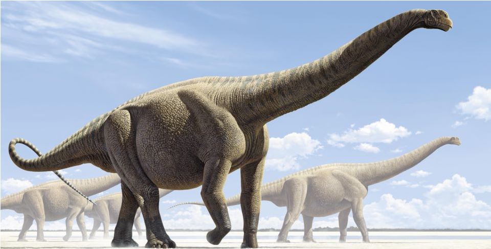 Ο θρίαμβος των… γιγάντων