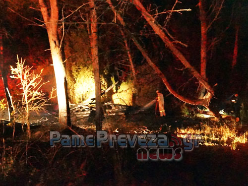 Πρέβεζα: Φωτιά στο δάσος στο Μονολίθι