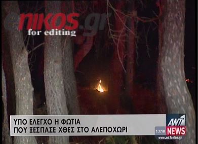 ΒΙΝΤΕΟ-Η φωτιά στο Αλεποχώρι